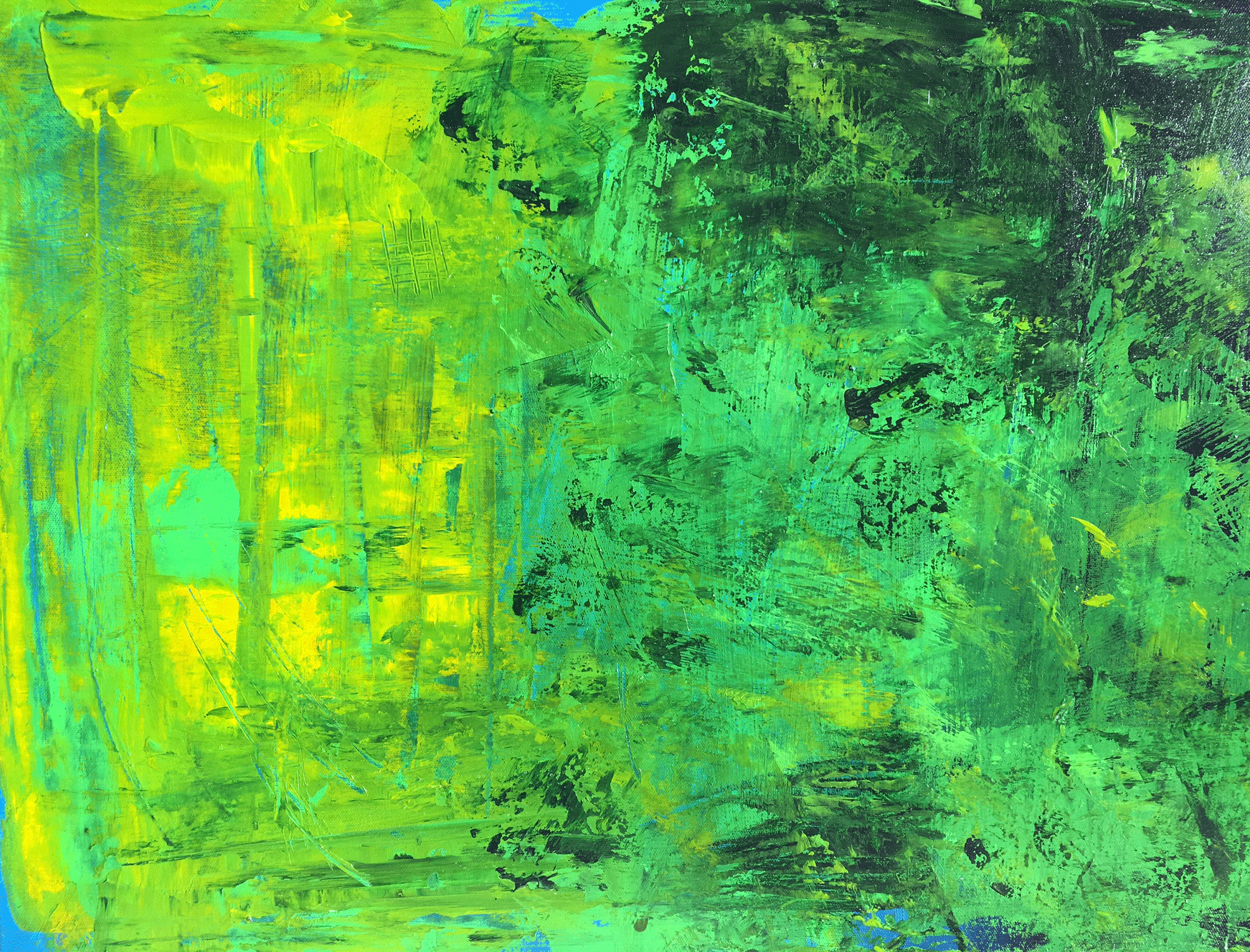 Green Forest Green Forest